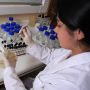ISO/IEC 17065 y otras evaluaciones y acreditaciones